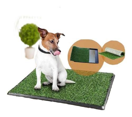 Bandeja sanitaria baño mascotas pet cesped perros 42 x 42