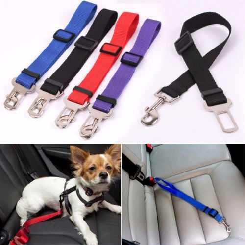 Cinturon Correa Seguridad P/auto Mascotas 70cm L I V I A N O