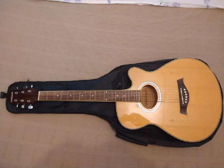 Vendo Guitarra electroacustica