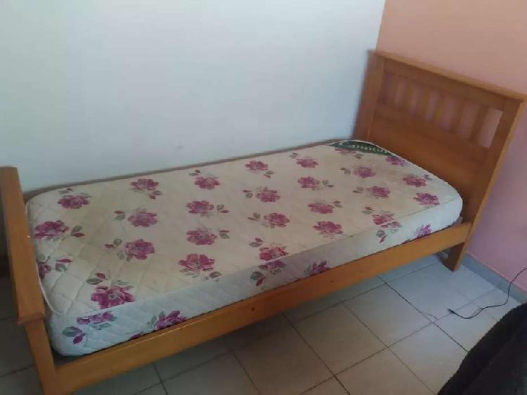 CAMA + COLCHON DE UNA PLAZA (Precio negociable)