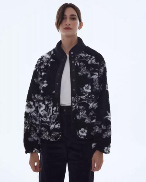 Campera desiderata